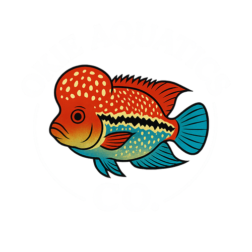Okieaquaticsco
